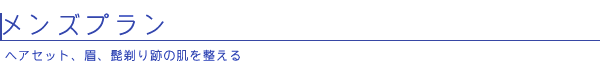 メンズプラン